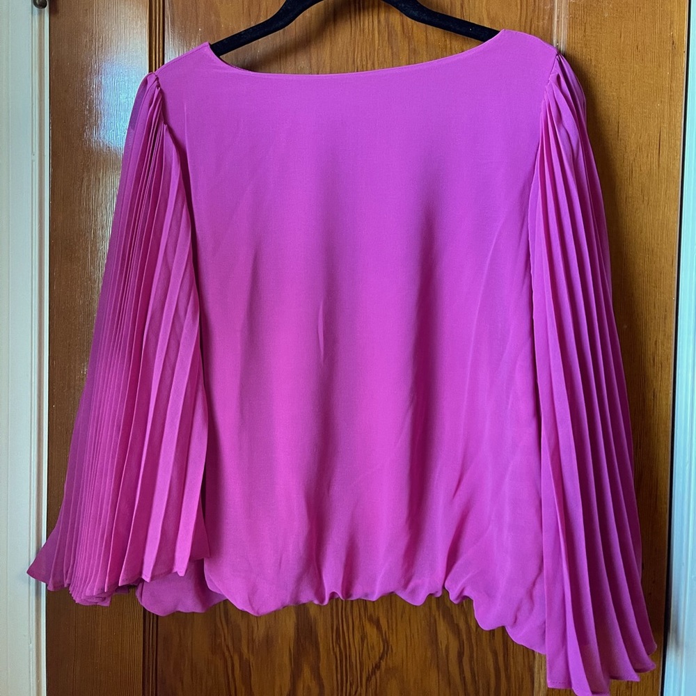 Colleen Lopez pleated sheer A line sleeve blouse